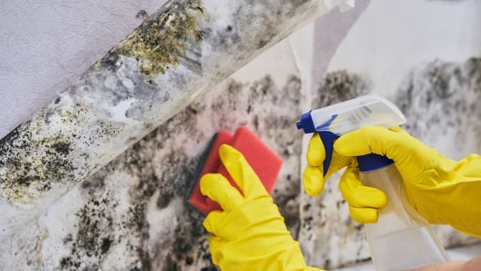 Die Lösung eines Feuchtigkeitsproblems überlassen Sie am besten einem Murprotec Feuchtigkeitsexperten