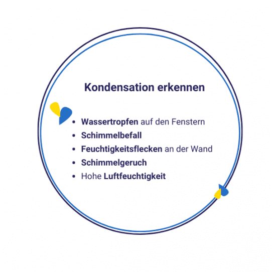 Kondensation an der Innenseite der Fenster erkennen