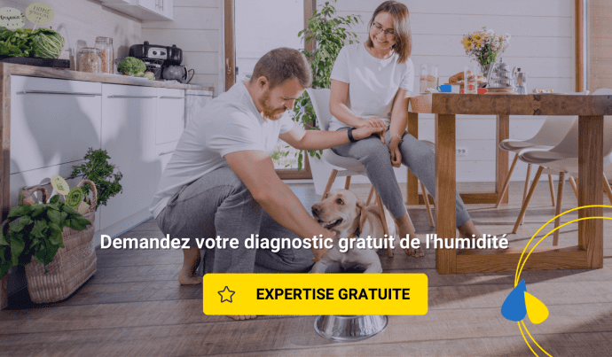 La famille opte pour une analyse d’humidité gratuite de Murprotec 