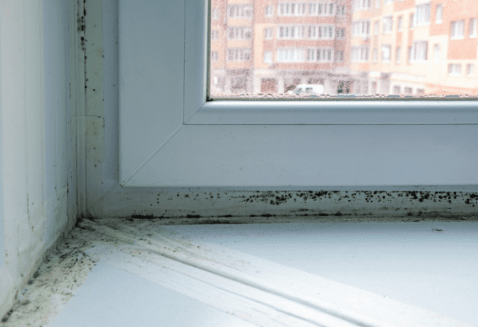 Schimmelbildung neben einem Fensterrahmen