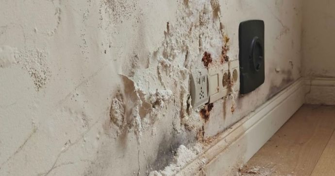 Moisissures sur les murs 
