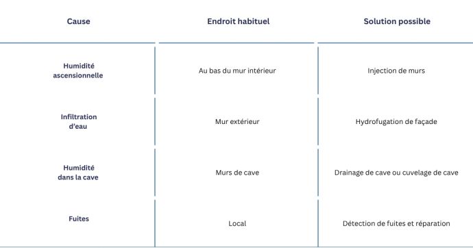 Causes et solutions contre le salpêtre sur les murs