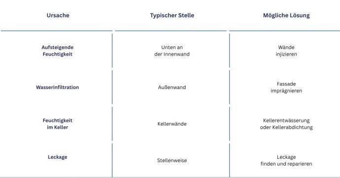 Ursachen und Lösungen gegen Salpeter an Wänden
