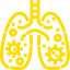 Ikone Lunge (gelb)