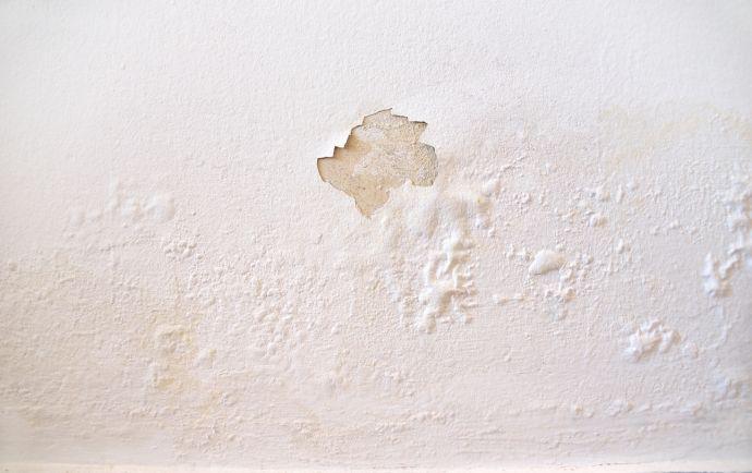 Mur dont la peinture sâ€™Ã©caille suite Ã  un problÃ¨me dâ€™humiditÃ© dans la maison