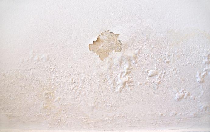 Mur dont la peinture s’écaille suite à un problème d’humidité dans la maison