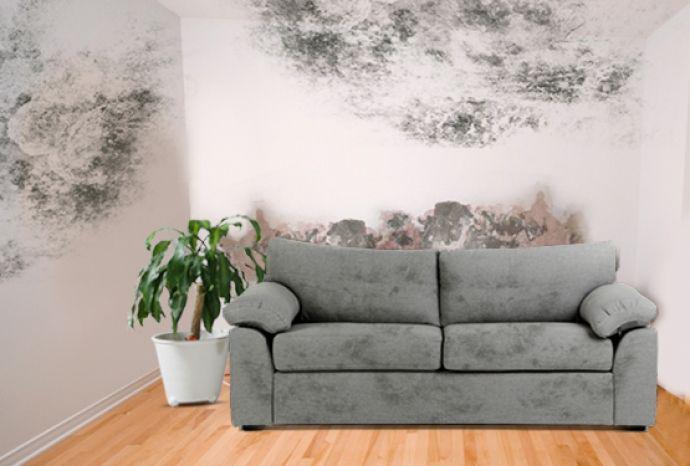 Wohnzimmer vor Behandlung gegen Kondenswasser
