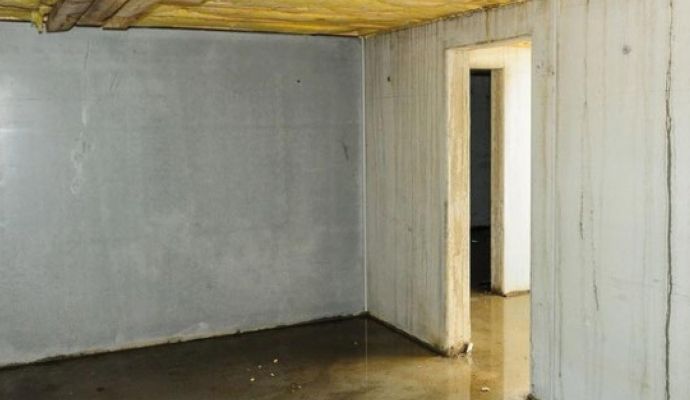 Feuchter Keller