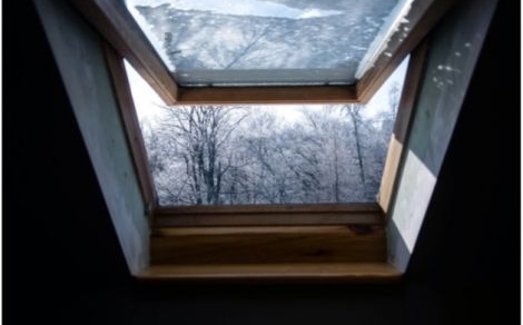 Fenêtre VELUX ouverte avec vue sur des arbres. 