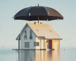 ProtÃ©gez votre maison contre les dommages causÃ©s par une humiditÃ© persistante