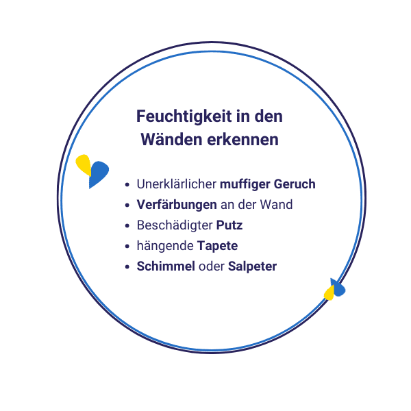 Feuchte Wände erkennen 