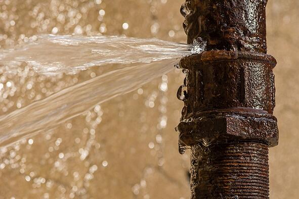 Fuites d'eau chroniques : zoom sur les joints de douche