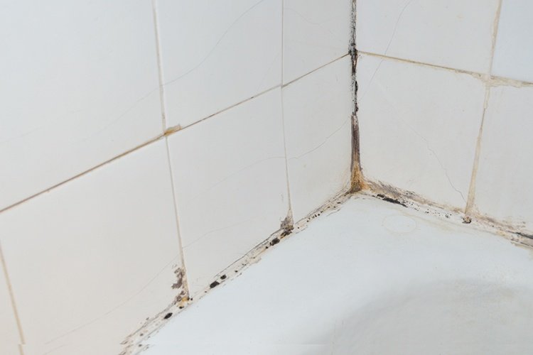 Y a-t- il des moisissures dans ma salle de bain ?