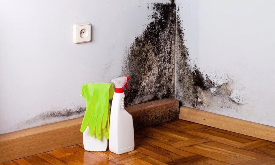 image-qui-est-murprotec-min